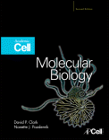 Molecular Biology de David Clark, Nanette Pazdernik, 9780123785947, CIENCIAS BIOLÓGICAS, biología, Elsevier, Inglés