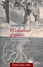 El calamar gigante, , zoología