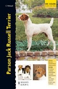 Parson Jack Russell Terrier, , etología