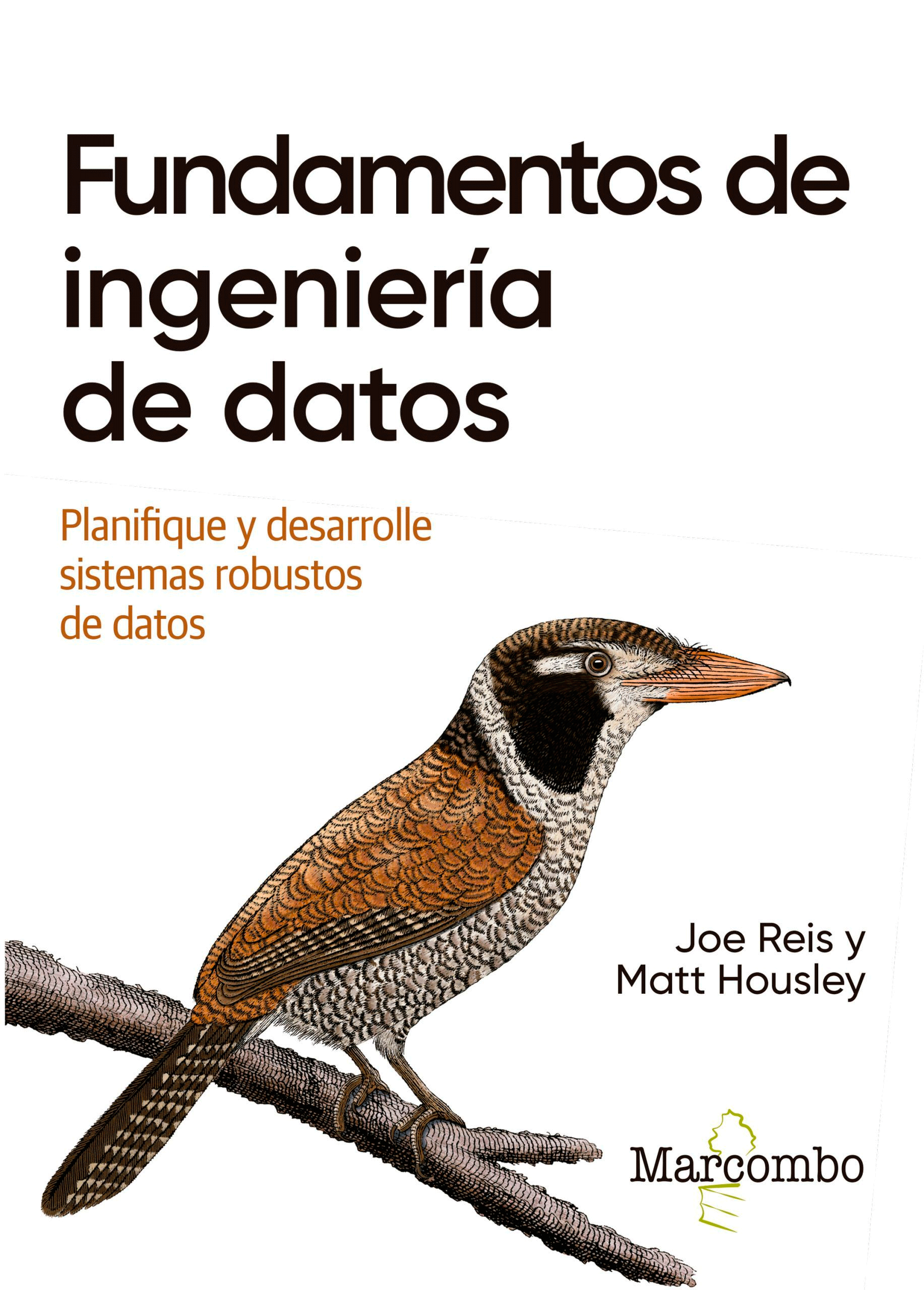 Fundamentos de ingeniería de datos, , informática / ingeniería
