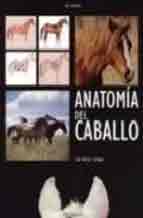 Anatomía del caballo, , zoología