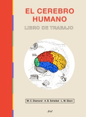 El cerebro humano, , biología / neurociencia