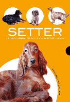 Setter, , zoología