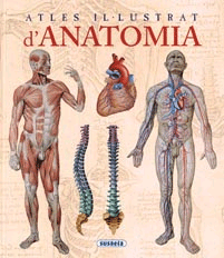 Atles il·lustrat d'Anatomia., , anatomía / atlas