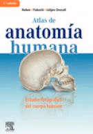 Atlas de anatomía humana. Estudio fotográfico del cuerpo humano de Rohen-Yokochi, 9788480867436, MEDICINA, anatomía, Elsevier España, Español