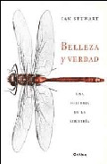 Belleza y verdad, , matemáticas
