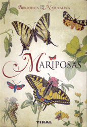 Mariposas., , zoología
