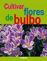 Cultivar flores de bulbo., , jardinería