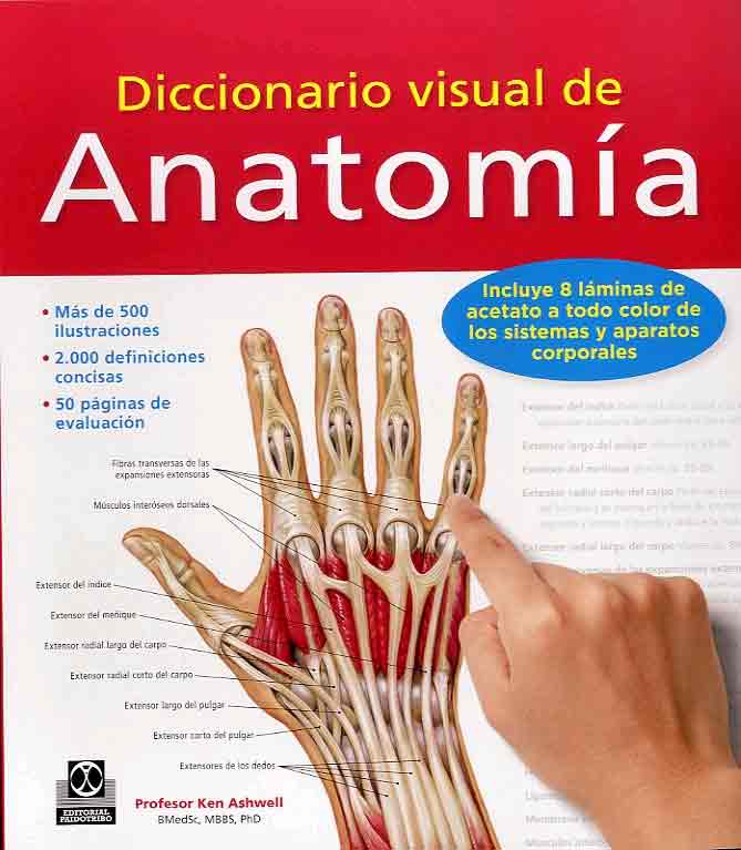 Diccionario visual de anatomía, Noaut, anatomía / medicina