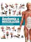 Anatomía y musculación, Noaut, anatomía / deporte / medicina