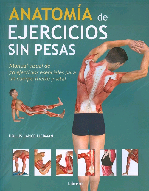 Anatomía de ejercicios sin pesas, , anatomía / deporte